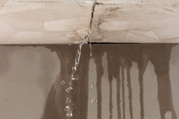Professional Water Damage Repair technician working in Randolph, TX